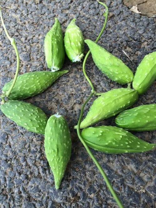 河北不该吃的瓜,河北人不宜食用的“禁忌瓜果”