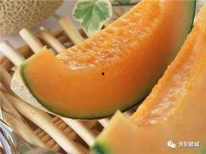 哈密瓜吃瓜神器,轻松享受夏日清凉美味