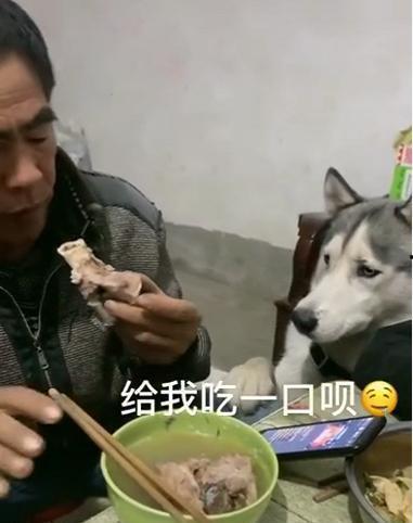 梦到姥爷给我瓜吃,姥爷送瓜的温馨瞬间