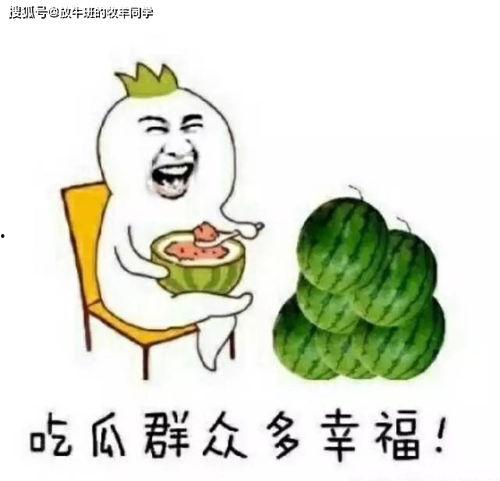 吃瓜爱看名句大全最新,吃瓜群众必看的经典语录大盘点