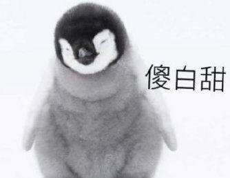 理性吃瓜发怒,揭秘网络时代的情绪宣泄新趋势