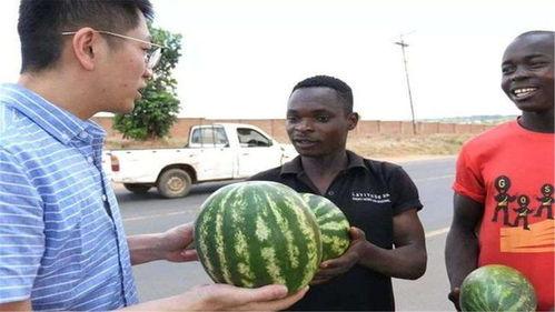 云南黑人吃瓜事件,云南“黑人吃瓜”事件引发社会关注