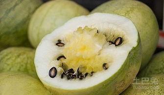 常吃籽瓜,家常美味，营养满分