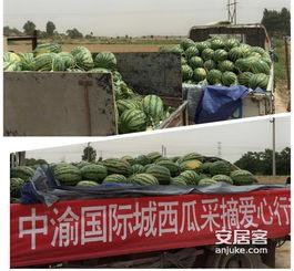 汾阳国际城吃瓜