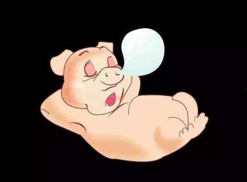 吃瓜胖猪,揭秘网络红人的爆红之路