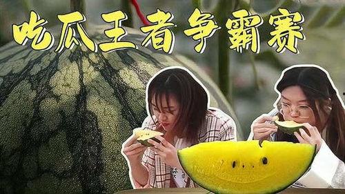 吃瓜者的天下,揭秘网络舆论场的狂欢与反思