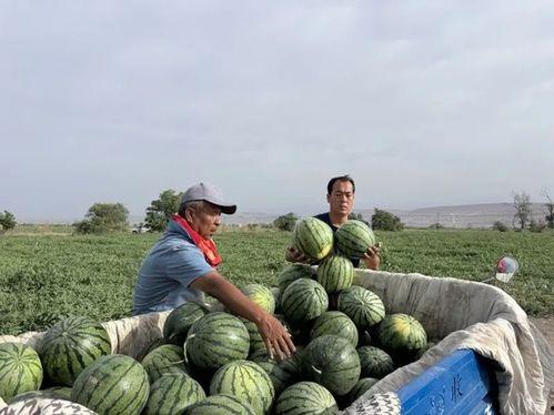 吃瓜第16天,热点事件背后的真相与反思