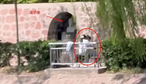 孟子像吃瓜视频