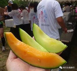 会吃瓜的哈密瓜品种图片