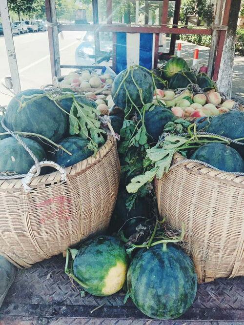 梦见请大家吃瓜,一场神秘的“吃瓜”盛宴