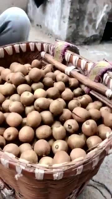 野生瓜吃,野生瓜果的天然魅力与营养价值探索