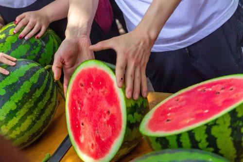 美国学校吃瓜,揭秘校园生活新潮流