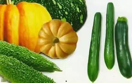 吃瓜对赌,揭秘吃瓜群众的狂欢盛宴