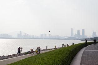 深圳湾吃瓜,吃瓜盛宴，尽享清凉时光