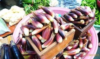 小野洋吃瓜,揭秘娱乐圈幕后真相