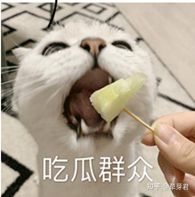 吃瓜群众社会评价,吃瓜群众视角下的社会评价解析