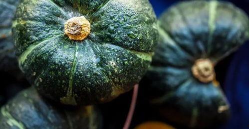 小贝贝瓜怎么吃