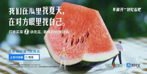 吃瓜文案介绍
