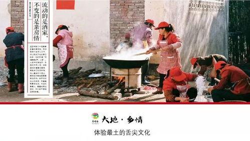 穿越吃瓜系统知青,知青时代的甜蜜苦涩回忆